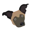 🐶