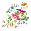 🌺