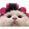 🫧