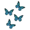 🦋