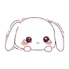 🐇