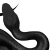 🐍