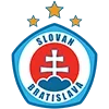 🇸🇰