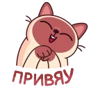 👋