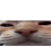 😶