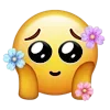 🥺