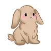 🐰