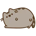 🐱