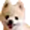 🐕