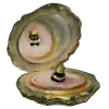 🪞