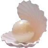 🐚
