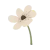 🌷