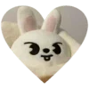 🐰