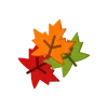 🍁