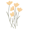 🌼