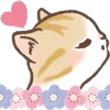 🐱