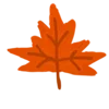 🍁