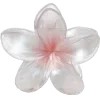 🌺