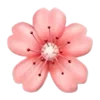 🌸