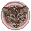 🐱