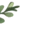 🌿