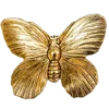🦋