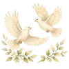 🕊️
