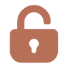 🔒