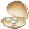 🐚