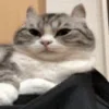 🥱