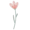 🌷