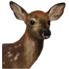 🦌