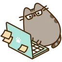 💻