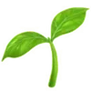 🌱