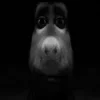 😨