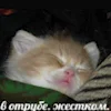 😴