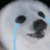 😭