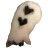 🐈‍⬛