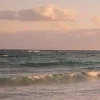 🤩