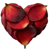 🌹