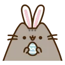 🐰