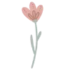 🌷