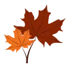 🍂