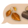 🍂