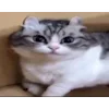😃
