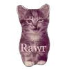 🐱