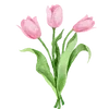 🌷