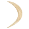 🌙