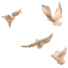 🕊