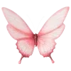 🦋